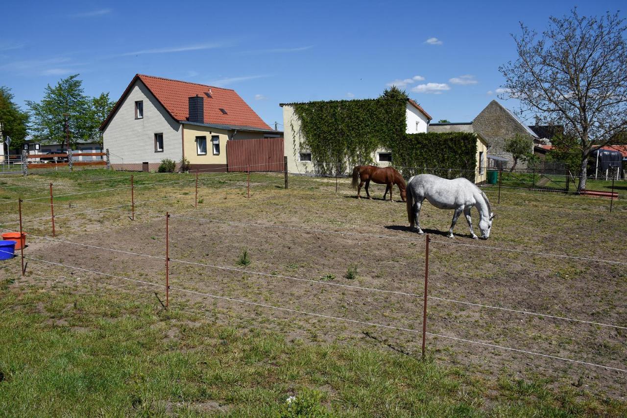 Barrierefreie Ferienwohnung Trueben Bornum Eksteriør billede