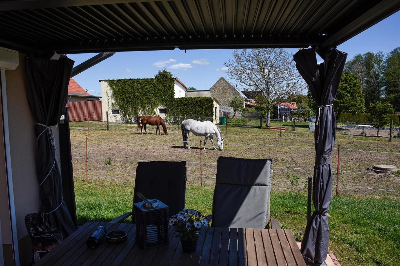 Barrierefreie Ferienwohnung Trueben Bornum Eksteriør billede